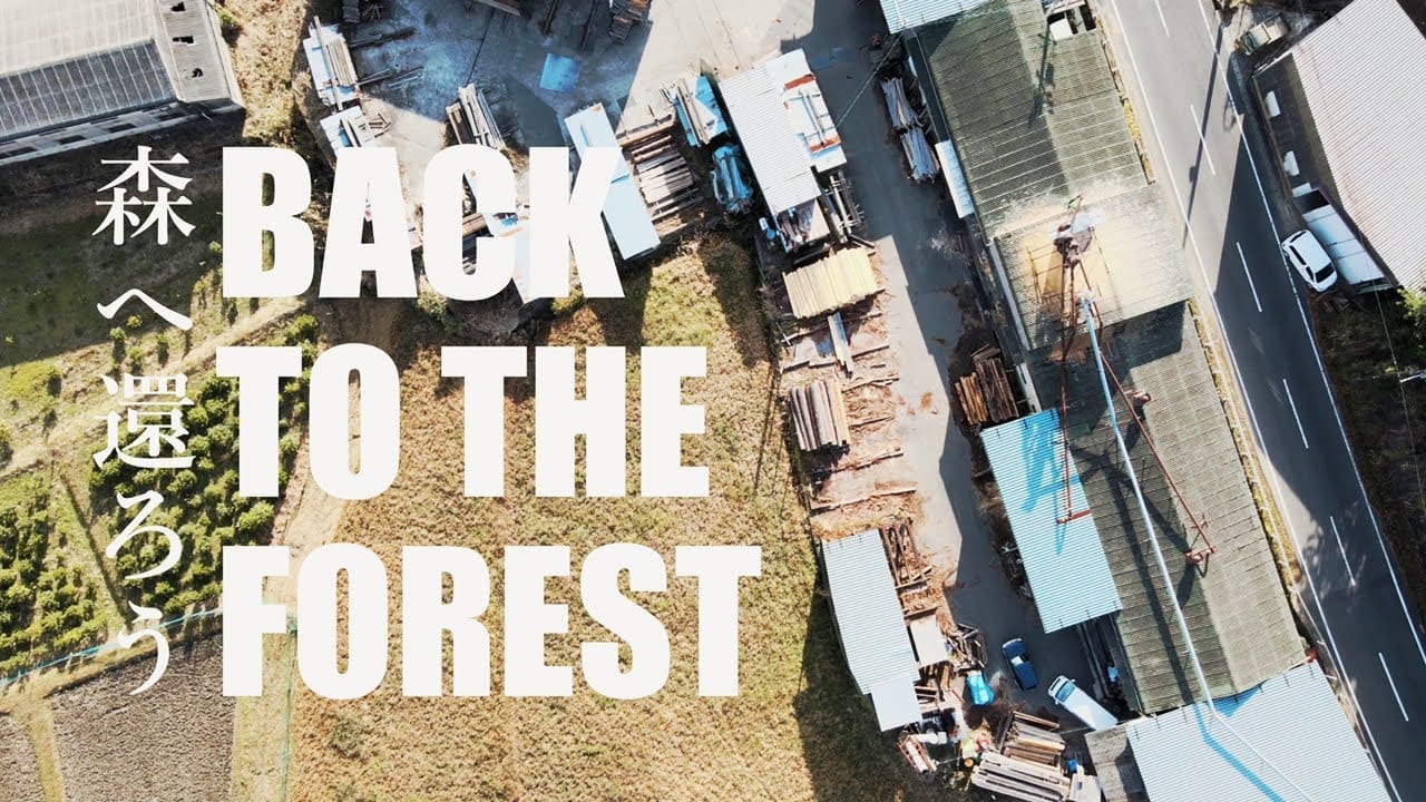 BACK TO FOREST