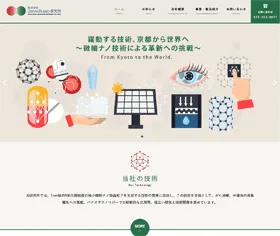 株式会社APAN NANO研究所